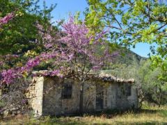  Archivfoto (© GZjh)