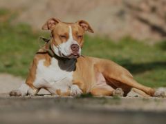 Symbolbild (© Canva)