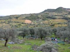 Foto (© GZ/ Jan Hübel) 