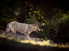 Archivfoto (© Eurokinissi)