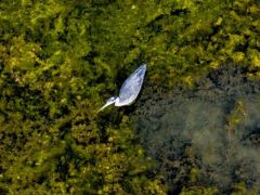 Foto (© Eurokinissi)