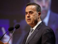 Unser Archivfoto (© Eurokinissi) zeigt den Minister für Umwelt und Energie Stavros Papastavrou.