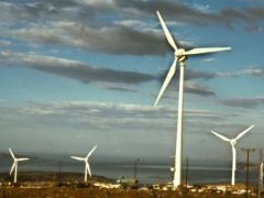 Die Regierung reagiert auf die Proteste gegen Windräder in sensiblen Regionen. (Foto: ek/Archiv)