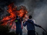 Unsere Fotos (© Eurokinissi) entstanden am Montag (16.6.) in der Gegend Ano Souli bei Marathon im Osten Attikas.