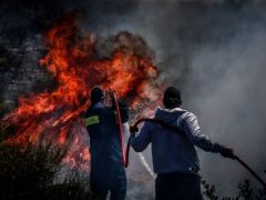 Unsere Fotos (© Eurokinissi) entstanden am Montag (16.6.) in der Gegend Ano Souli bei Marathon im Osten Attikas.