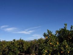 Archivfoto (© Eurokinissi)