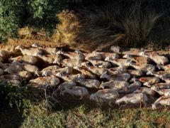 Foto (© Eurokinissi)