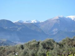 Archivfoto (© GZ/jh)