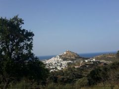 Unser Archivfoto (© Griechenland Zeitung / Elisa Hübel) entstand auf der Insel Skyros.