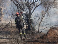 Unser Foto (© Eurokinissi) entstand bei dem Brand in Peania.