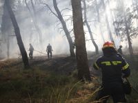 Unser Foto (© Eurokinissi) entstand am Dienstag (30.6.) während des Waldbrandes bei Derveni.