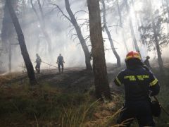 Unser Foto (© Eurokinissi) entstand am Dienstag (30.6.) während des Waldbrandes bei Derveni.