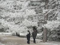 Foto (© Eurokinissi) 