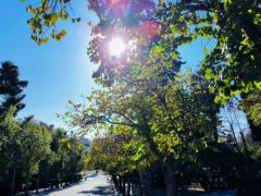 Archivfoto (© Eurokinissi)