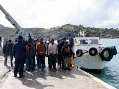 Unser Archivfoto (© Eurokinissi) entstand Ende Februar auf Kreta.