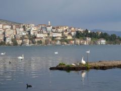 Archivfoto (© GZ/jh) 