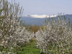 Archivfoto (© Eurokinissi)