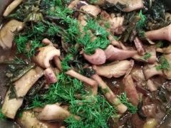 Archivfoto (© Griechenland Zeitung / jh): Sepien schmecken auch mit Spinat und Fenchelkraut zubereitet köstlich!