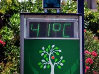 Hitzewellen mit mehr als 40 Grad Celsius sind keine Seltenheit. (Fotos: ek/Archiv)