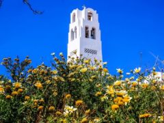  Foto (© Eurokinissi)