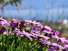 Archivfoto (© GZjh)