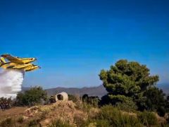 Unser Foto (© Eurokinissi) zeigt ein Löschflugzeug im Einsatz in Achaia auf der Peloponnes.
