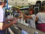Mit Sauerkraut, Brez’n und Wiesn-Hits: Oktoberfest an der Deutschen Schule Athen