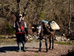Unser Archivfoto (© Griechenland Zeitung / Jan Hübel) entstand im Januar bei Pryolithos in der Nähe von Kalavryta, Peloponnes.