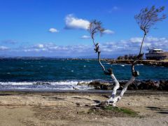 Foto (© Eurokinissi): Nea Makri