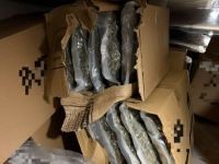 Symbolfoto (© Eurokinissi)