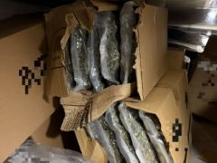 Symbolfoto (© Eurokinissi)