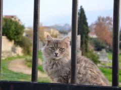 Archivfoto (© GZ/jh)