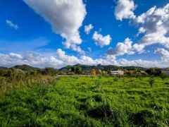 Foto (© Eurokinissi)