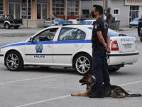 Die Suche nach dem vermissten Mädchen unter Einsatz von Spürhunden (© Eurokinissi)
