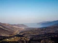 Unser Foto (© Eurokinissi) entstand nach dem Waldbrand in Westattika.