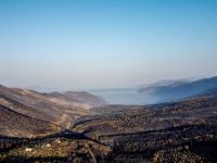 Unser Foto (© Eurokinissi) entstand nach dem Waldbrand in Westattika.