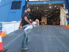 Unser Foto (© Eurokinissi) entstand am 24. September 2025. An diesem Tag war ein 20-jähriger Seemann bei einem Arbeitsunfall auf dem Fährschiff „Blue Star Chios“ ums Leben gekommen. Seine Kollegen, darunter auch zahlreiche Werftarbeiter, legten an der Unglücksstelle Blumen nieder.