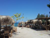 Foto (© Griechenland Zeitung / Elisa Hübel): Chalkidiki